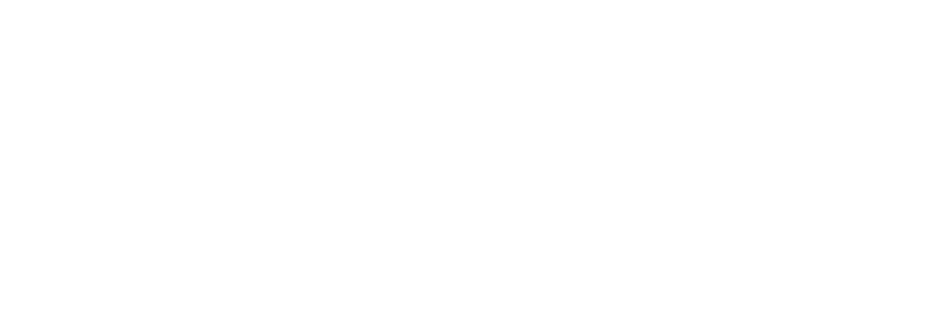 Medicus IT