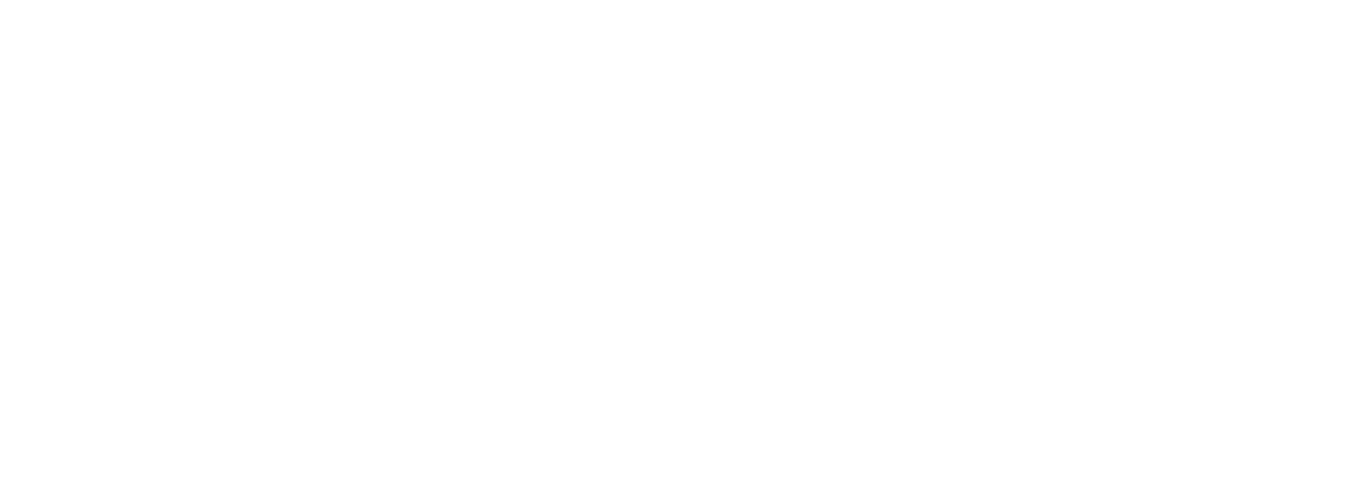 Medicus IT